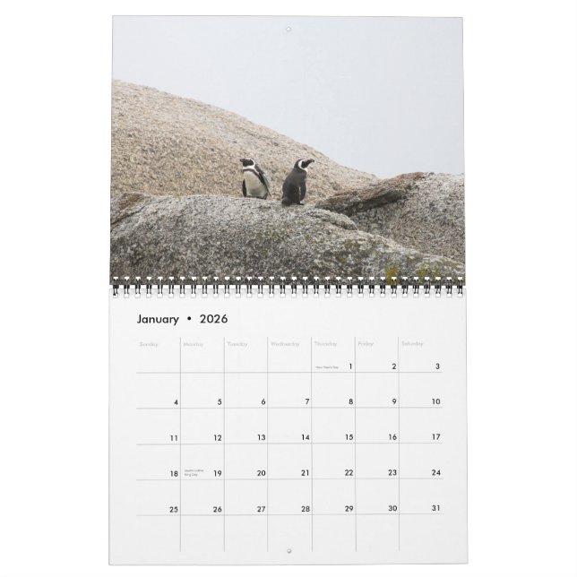 South African Safari Calendar (Jan 2026)