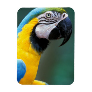 South America, Brazil, Iguacu Natioanl Park, Magnet