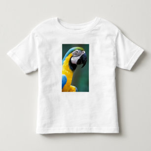 South America, Brazil, Iguacu Natioanl Park, Toddler T-Shirt