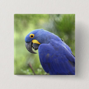 South America, Brazil, Pantanal 15 Cm Square Badge