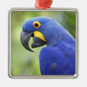 South America, Brazil, Pantanal Metal Tree Decoration