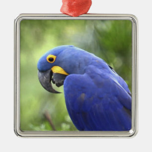 South America, Brazil, Pantanal Metal Tree Decoration