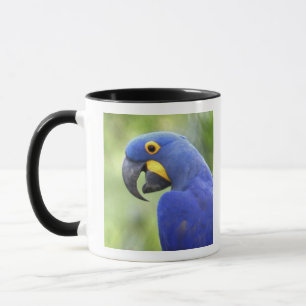 South America, Brazil, Pantanal Mug