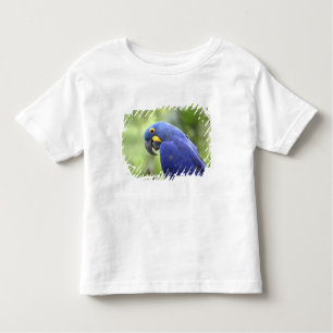South America, Brazil, Pantanal Toddler T-Shirt