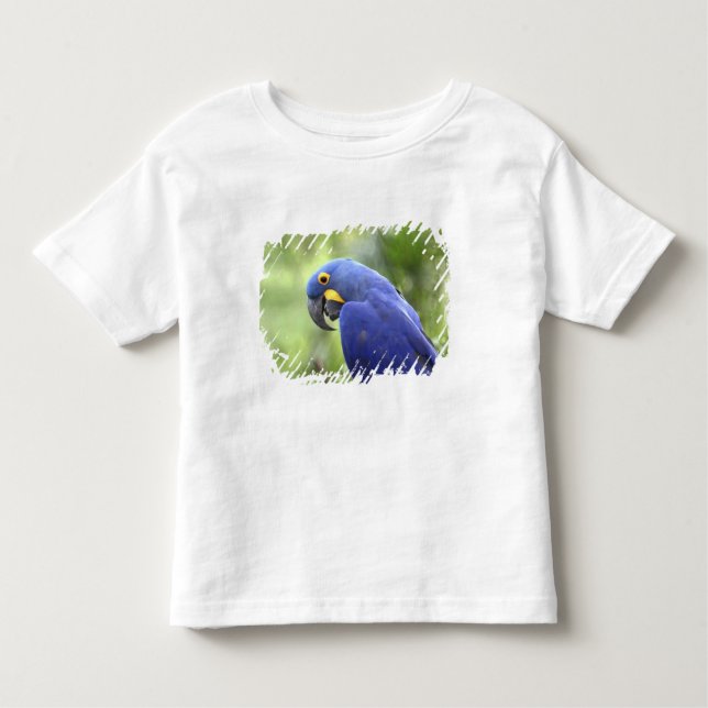 South America, Brazil, Pantanal Toddler T-Shirt (Front)
