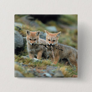 South America, Chile, Torres del Paine National 15 Cm Square Badge