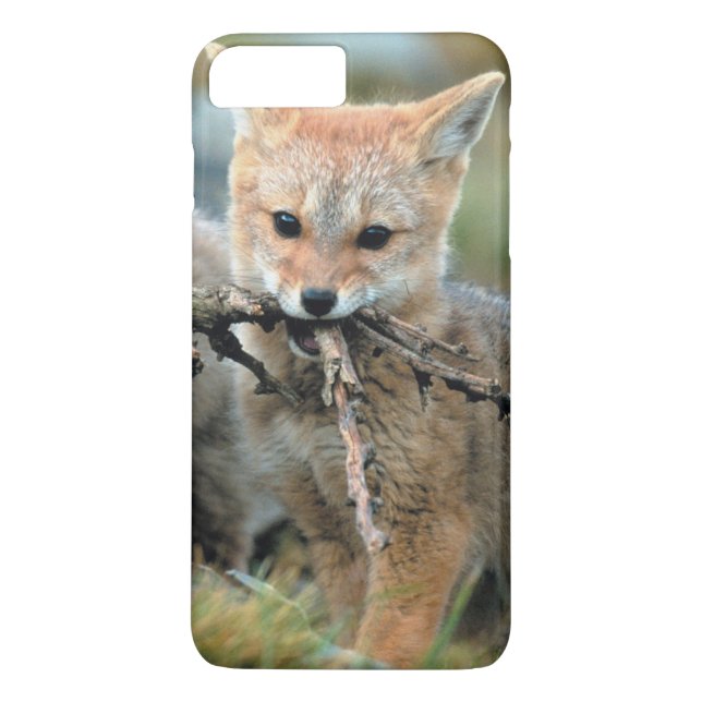South America, Chile, Torres del Paine National Case-Mate iPhone Case (Back)