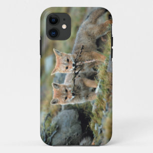 South America, Chile, Torres del Paine National iPhone 11 Case