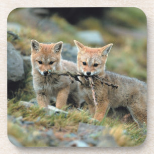 South America, Chile, Torres del Paine National Coaster