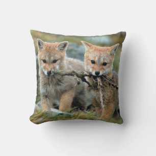 South America, Chile, Torres del Paine National Cushion