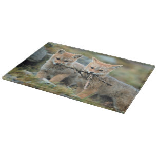 South America, Chile, Torres del Paine National Cutting Board