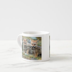 South America, Chile, Torres del Paine National Espresso Cup