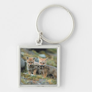 South America, Chile, Torres del Paine National Key Ring