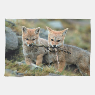 South America, Chile, Torres del Paine National Tea Towel