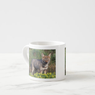 South America, Chile, Torres del Paine NP, Espresso Cup