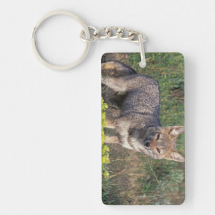 South America, Chile, Torres del Paine NP, Key Ring