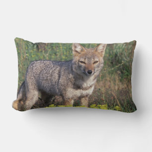 South America, Chile, Torres del Paine NP, Lumbar Cushion