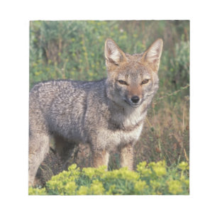 South America, Chile, Torres del Paine NP, Notepad