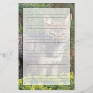 South America, Chile, Torres del Paine NP, Stationery