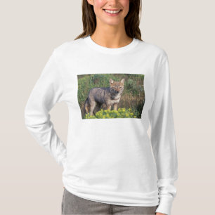 South America, Chile, Torres del Paine NP, T-Shirt