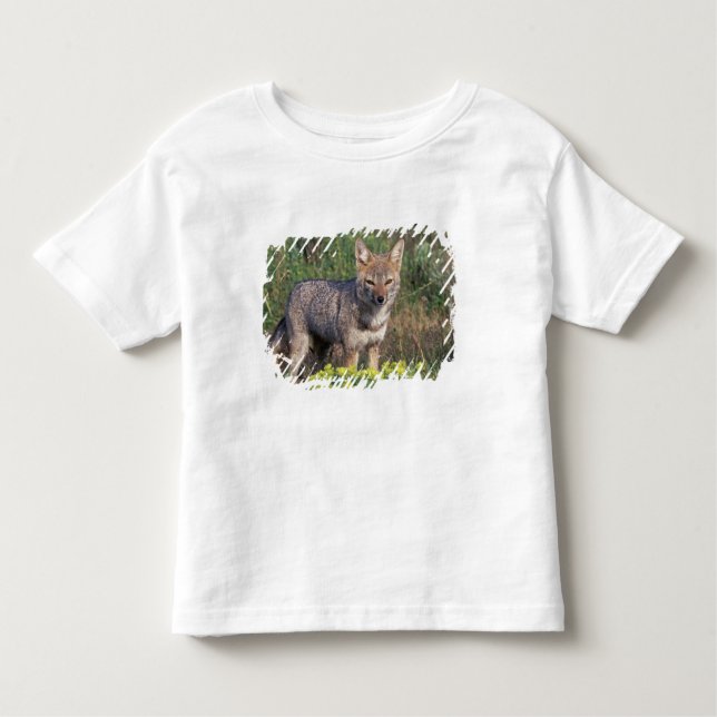 South America, Chile, Torres del Paine NP, Toddler T-Shirt (Front)