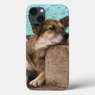 South America, Chile, Valparaiso. German iPhone 13 Case