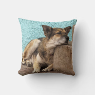 South America, Chile, Valparaiso. German Cushion