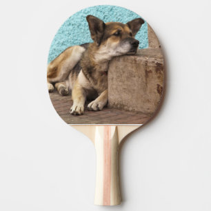 South America, Chile, Valparaiso. German Ping Pong Paddle