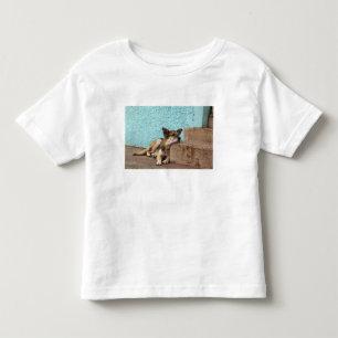 South America, Chile, Valparaiso. German Toddler T-Shirt