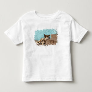 South America, Chile, Valparaiso. German Toddler T-Shirt