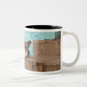 South America, Chile, Valparaiso. German Two-Tone Coffee Mug