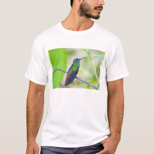 South America, Costa Rica, Sarapiqui, La Selva T-Shirt