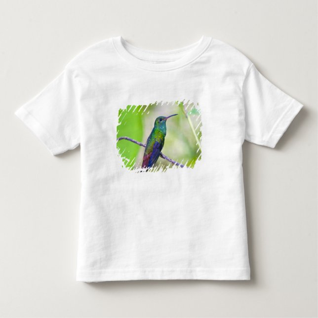 South America, Costa Rica, Sarapiqui, La Selva Toddler T-Shirt (Front)