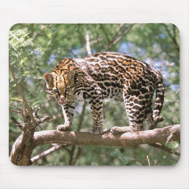 South America, Ecuador, Amazon. Ocelot Mouse Pad (Front)