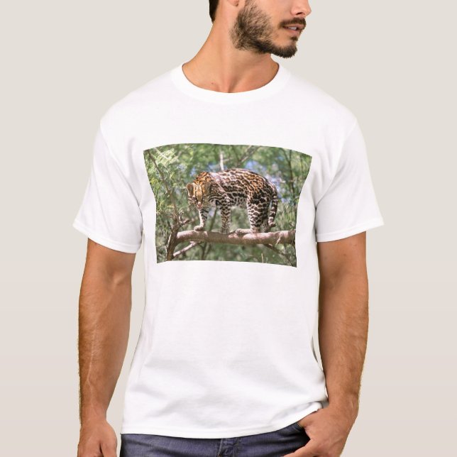 South America, Ecuador, Amazon. Ocelot T-Shirt (Front)