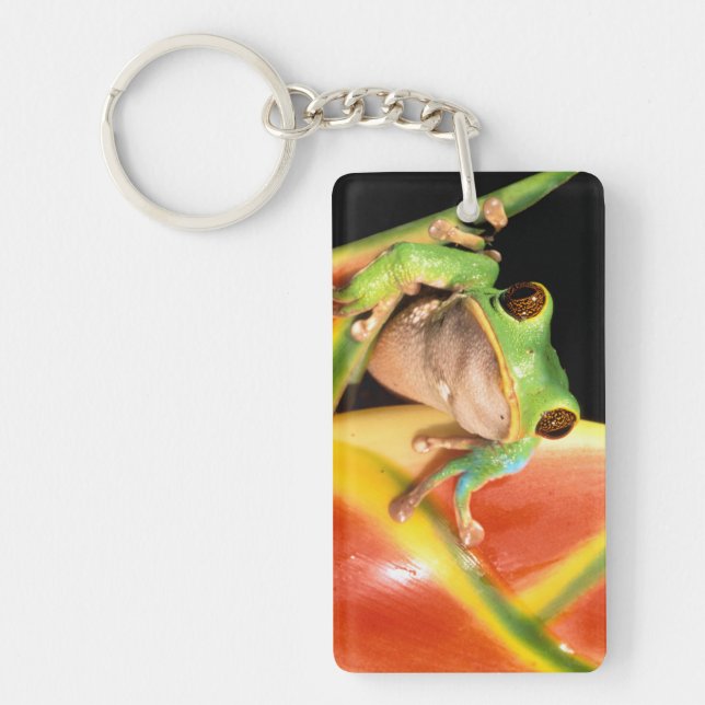 South America, Ecuador, Amazon. Tree frog Key Ring (Front)