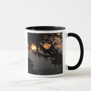 South America, Ecuador, cloud forest scene in Mug
