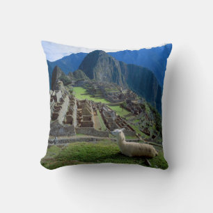 South America, Peru. A llama rests on a hill Cushion