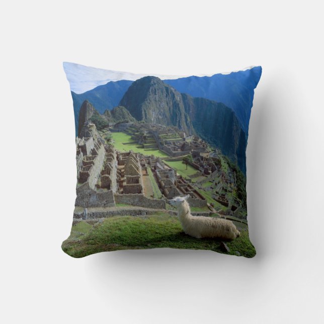 South America, Peru. A llama rests on a hill Cushion (Front)
