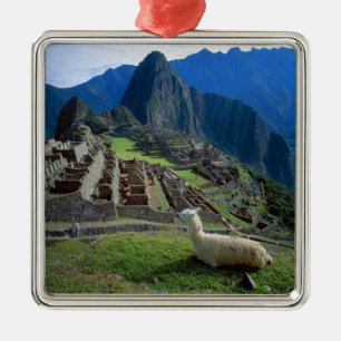 South America, Peru. A llama rests on a hill Metal Ornament