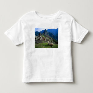 South America, Peru. A llama rests on a hill Toddler T-Shirt