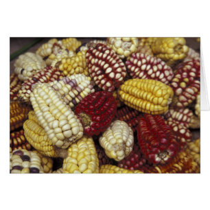 South America, Peru Corn, Maize