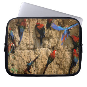 South America, Peru, Manu National Park, Laptop Sleeve