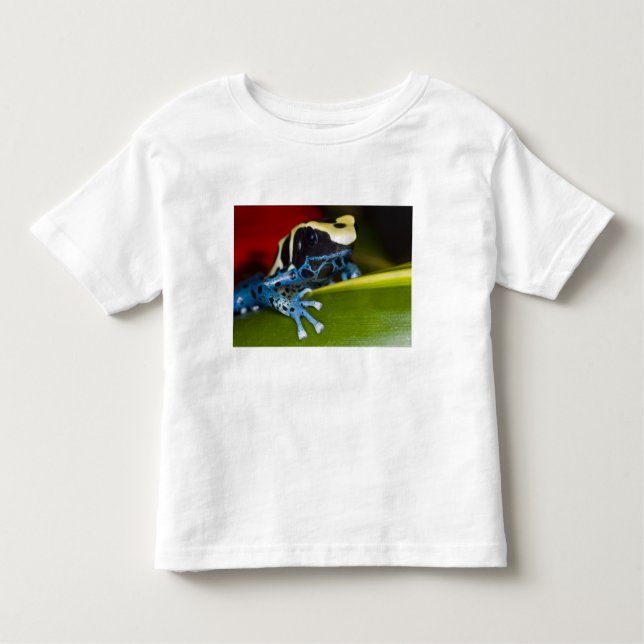 South America, Republic of Surinam. Close-up Toddler T-Shirt (Front)
