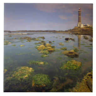 South America, Uruguay, Punta Jose Ignacio, Ceramic Tile