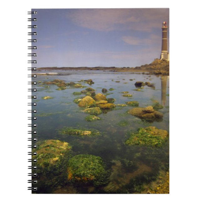 South America, Uruguay, Punta Jose Ignacio, Notebook (Front)