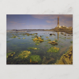 South America, Uruguay, Punta Jose Ignacio, Postcard