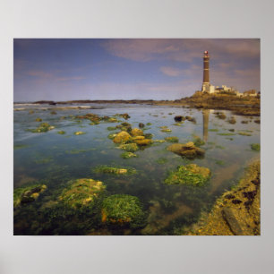 South America, Uruguay, Punta Jose Ignacio, Poster