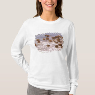 South America, Venezuela, Llano region. T-Shirt