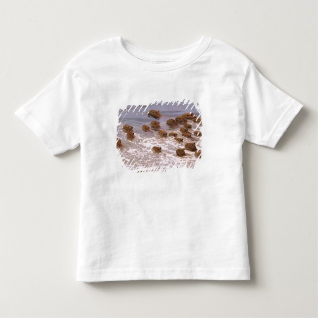 South America, Venezuela, Llano region. Toddler T-Shirt (Front)